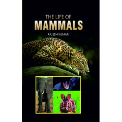 The Life of Mammals