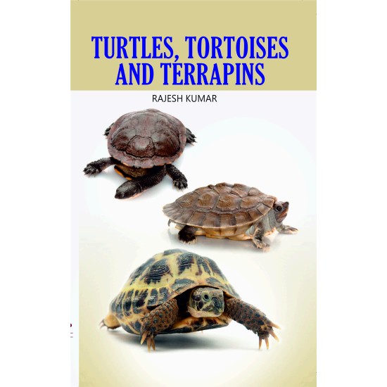 Turtles, Tortoises, and Terrapins