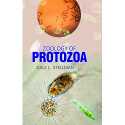 Zoology of Protozoa