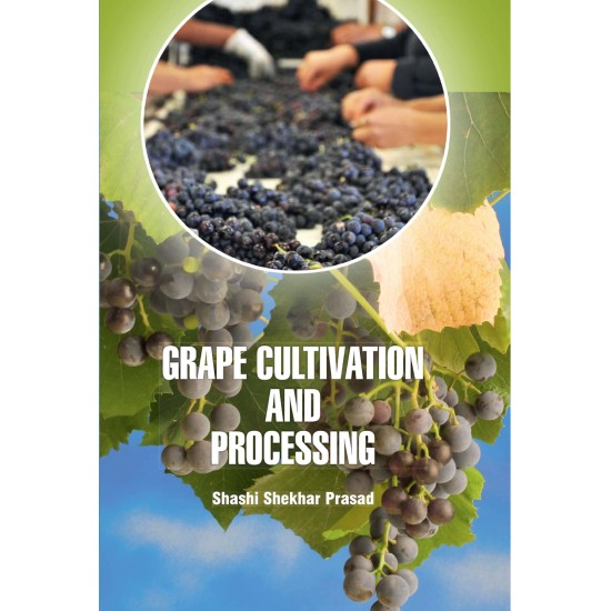 Grape Cultivation and Processing