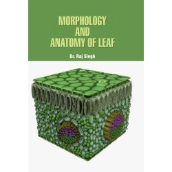 Morphology & Anatomy of Leaf