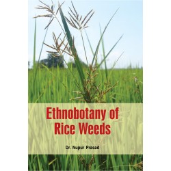 Ethnobotany of Rice Weeds