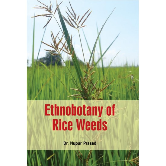 Ethnobotany of Rice Weeds