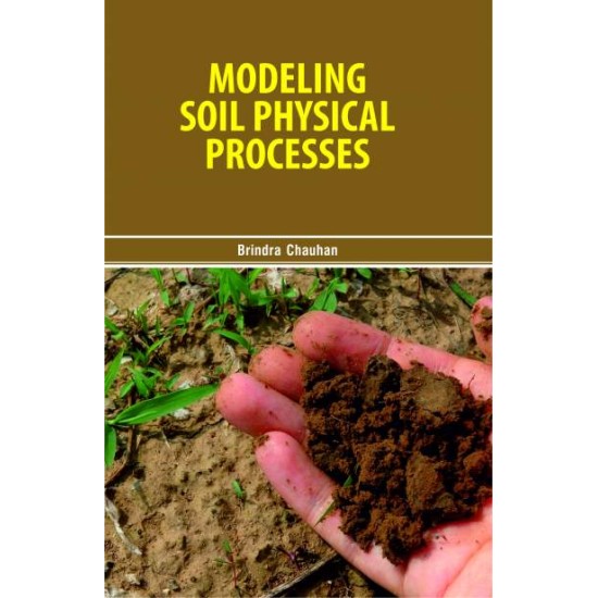 Modeling Soil Physical Processes