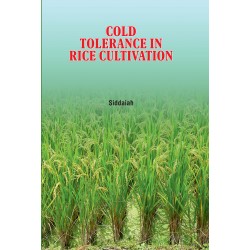 Cold Tolerance in Rice Cultivation