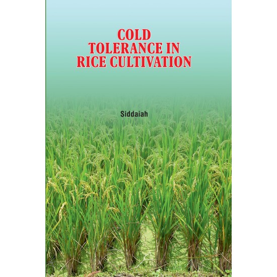 Cold Tolerance in Rice Cultivation