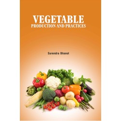 Vegetable Production and Practices