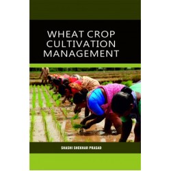 Wheat Crop Cultivation Management