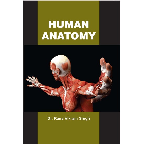 Human Anatomy