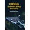 Catfishes: Systematics, Biology and Farming