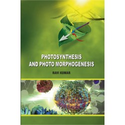 Photosynthesis And Photo Morphogenesis