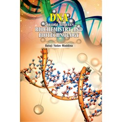 DNA : A Bridge Between Biochemistry and Biotechnology