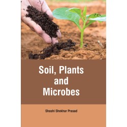 Soil, Plants and Microbes