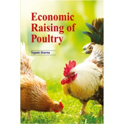 Economic Raising of Poultry