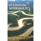 Fluvial hydraulics 