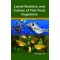 Larval nutrition and culture of fish food organisms