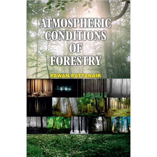 Atmospheric Conditions Of Forestry