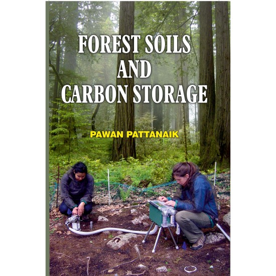 Forest Soils And Carbon Storage