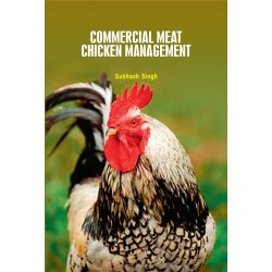 Commercial Meat Chicken Management