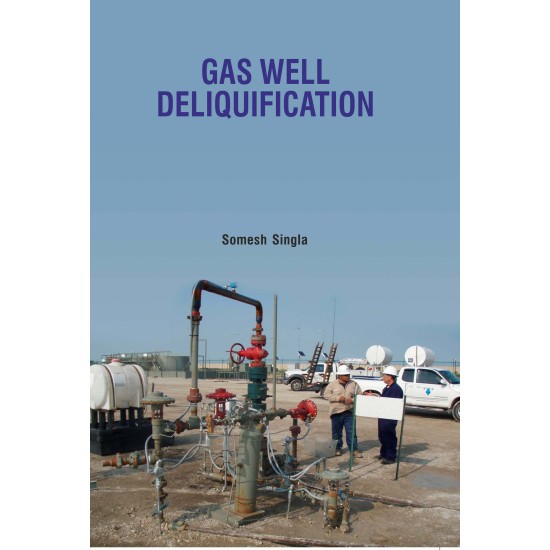 Gas Well Deliquification