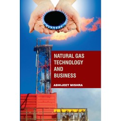 Natural Gas Technology And Business