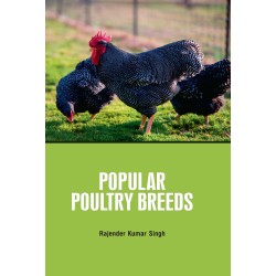 Popular Poultry Breeds