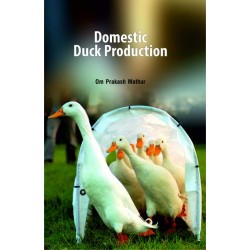 Domestic Duck Production