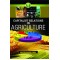 Capitalist Relations In Agriculture