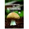 Encyclopaedia Of Mushrooms (Vol. Ii)