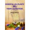 Essential Oil Plants And Their Cultivation