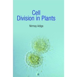 Cell Division In Plants