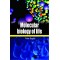 Molecular Biology Of Life