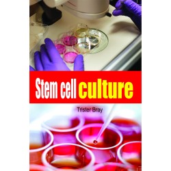 Stem Cell Culture