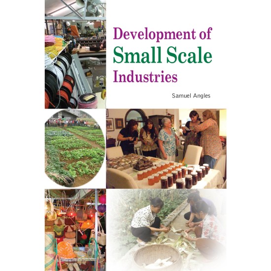 Development Of Small Scale Industries