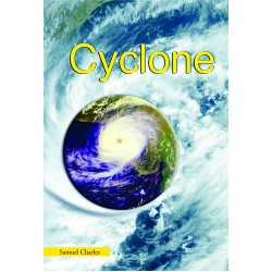 Cyclone